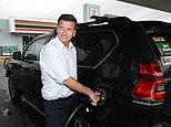 Angus Taylor demands Anthony Albanese cut Australia’s fuel excise by HALF