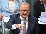 Albanese government backing pay rise for millions of Aussie workers to help with rising cost of living