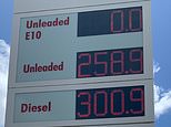 Fuel price officially hits an unthinkable amount -a-litre