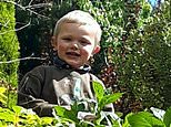 Farmer is jailed over terrifying dog attack on girl, 17, on same farm where three-year-old boy was killed in ‘furious and prolonged’ mauling
