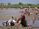 Paralympics hero’s son, 16, fights off hundreds of plucky racers wading across boggy riverbed to win annual Maldon Mud Race