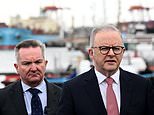 Anthony Albanese announces four cargo ships carrying 200million litres of diesel will soon arrive in Australia