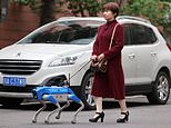 Man’s metal best friend? Visually impaired people test robot guide dogs