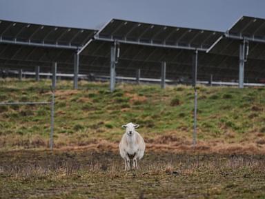 Some American farmers bet on solar. Then Trump changed the rules