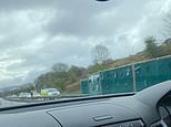 Police watchdog to investigate motorway crash that killed two men: Patrol car had activated its blue lights after spotting car driving in wrong direction
