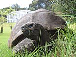 World’s oldest known tortoise dies aged 193: Jonathan