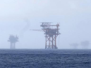 Trump administration seeks Endangered Species Act exemption for oil, gas projects in Gulf
