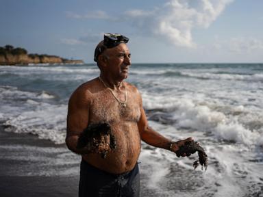 Gulf of Mexico oil spill spread hundreds of miles, killed wildlife and polluted Mexican reserves