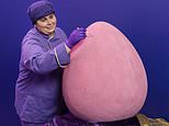 Not so mini! Cadbury unveils the world’s largest Mini Egg weighing nine stone