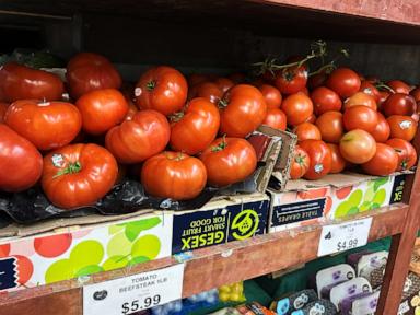 Tomatoes become latest symbol of America’s affordability squeeze