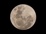 Did YOU see the Blue Moon? Rare phenomenon will light up our night sky again tonight