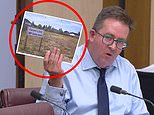 Labor MP Ali France accused of committing electoral fraud for being enrolled to vote on a vacant block