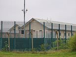 Reform pledge to build dozens of new immigration centres in areas that vote Green