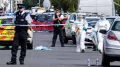Inquiry to focus on ‘violence-fixated individuals’