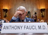 Secret texts from Dr Fauci’s COVID-era phone RELEASED including shock pregnant women admission