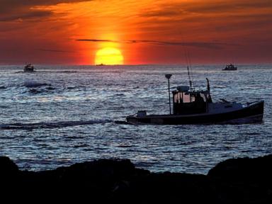 Court says fishermen’s claim in lobster defamation suit raises questions