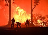 Urgent warning over super El Niño as Australians told to prepare for a scorching, dry summer