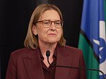 Victoria has a new premier: Ben Carroll is announced as new state leader after Jacinta Allan’s teary resignation -profile minister’s 10 minutes in charge