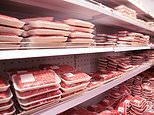 Aussies warned they may have eaten horse meat or mouse fur after stomach churning find in beef mince and food products