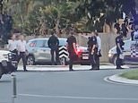 Woman is accidentally shot during tense stand-off between cops and an alleged knifeman in Mount Sheridan