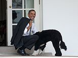 Which presidential pet is your favorite? Have your say in the DC Insider poll